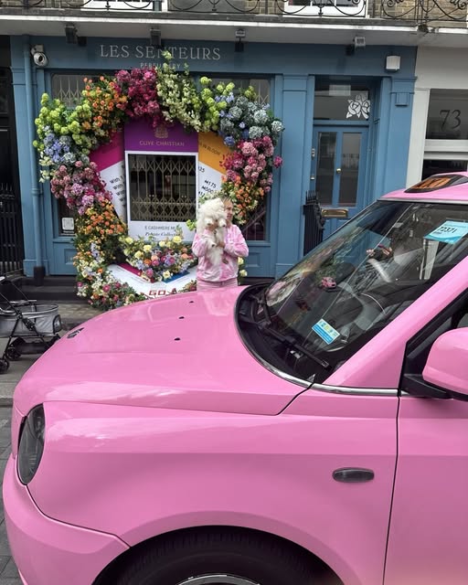 Dog Chauffeur Hertford