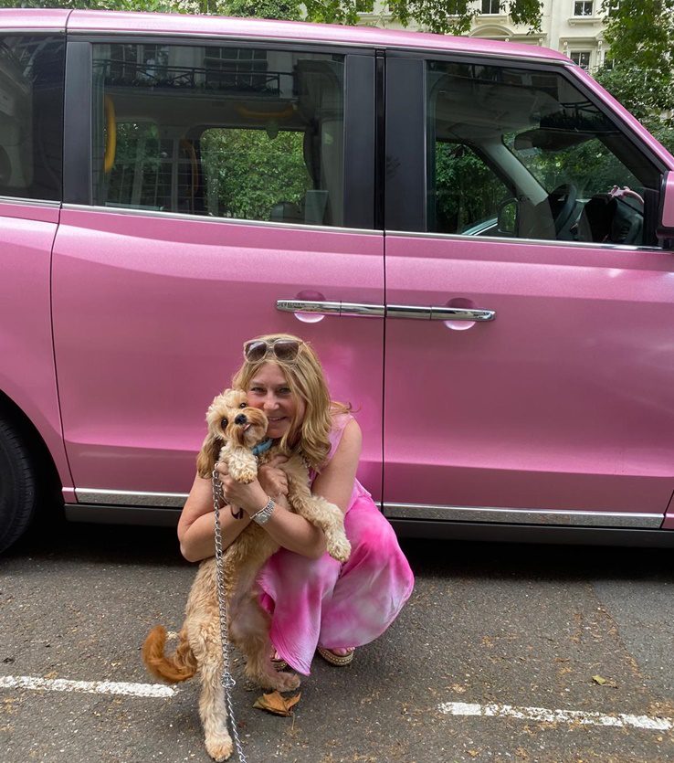 Dog Transport in Hertford