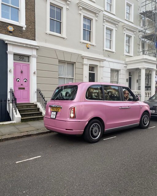 Dog chauffeur in Hertford