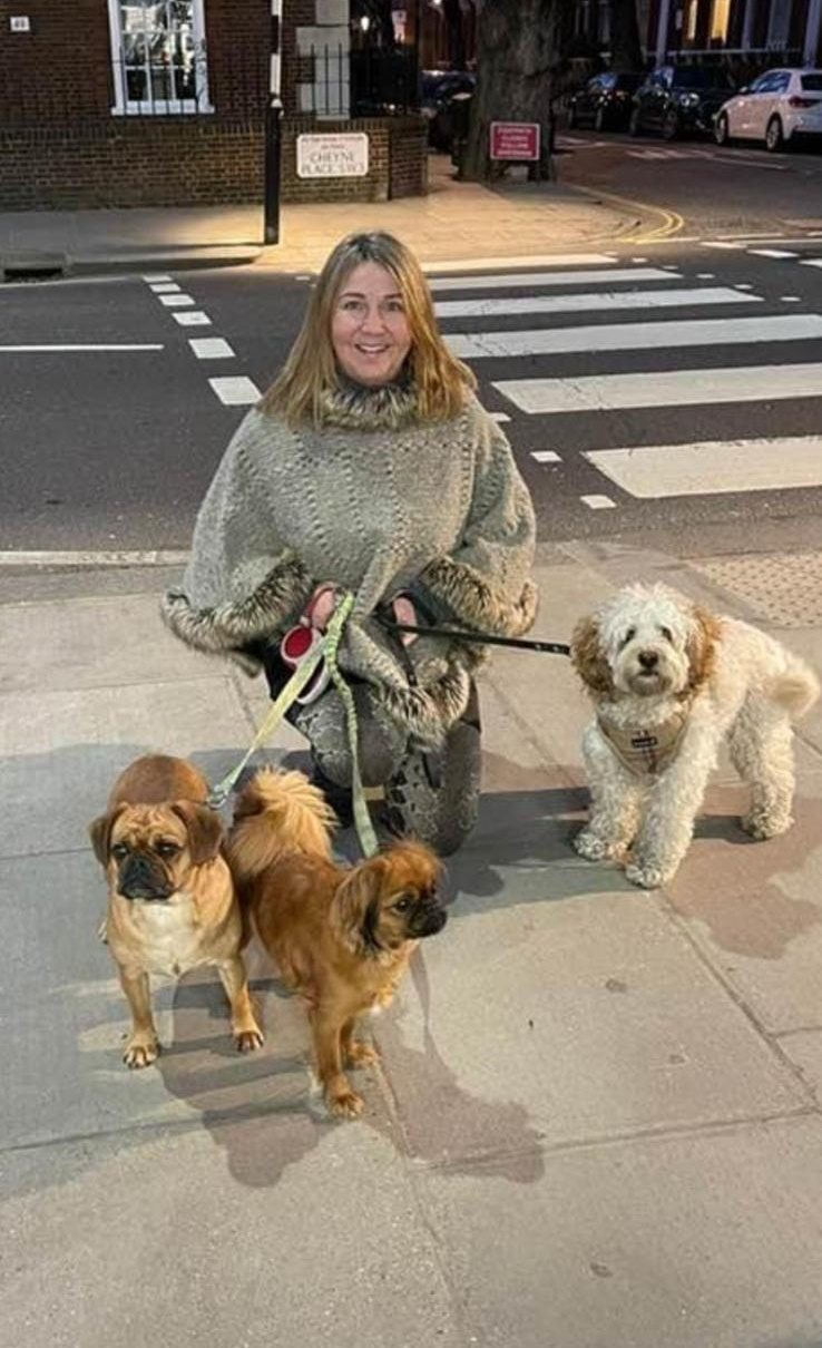 Certified Dog walker in Hertford